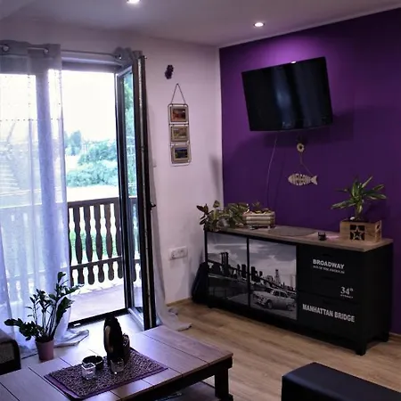 Apartment Patricia Fužine