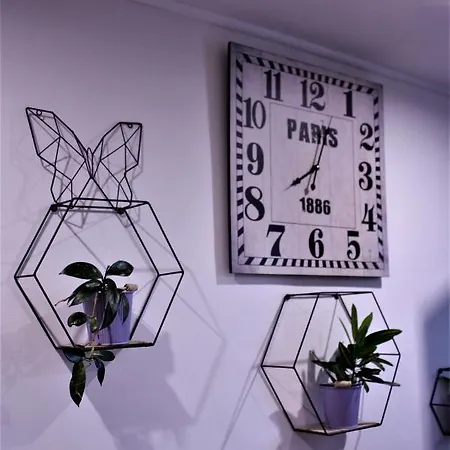 Patricia Apartment
