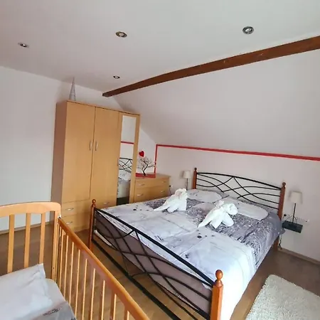 Patricia Apartment Fužine
